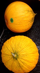 Fruit and Veg summer/fall 2008