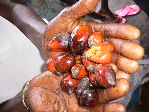 Jukwa Village Palm Oil Production, Ghana
