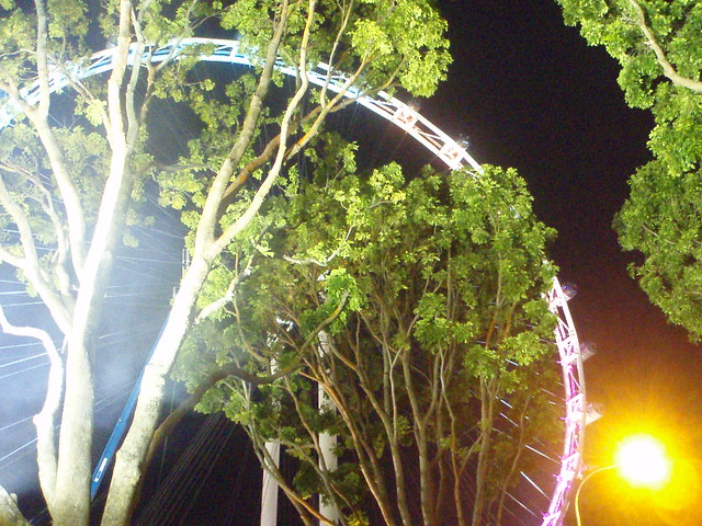 Singapore Flyer From The F1 Paddock