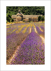 un été en Provence