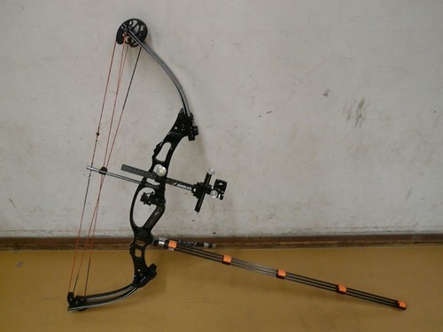 bow scope