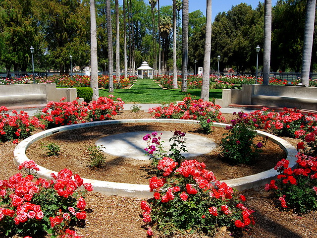Fairmount Park Rose Garden Riverside, Ca | Rose Garden Fairm ...