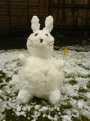 Snow Easter Bunny