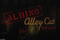 Albino Alley Cat Revue