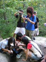 I-Shou students visiting Giant City park in Carbondale, Illinois