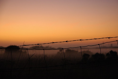 Foggy Santa Cruz, field with barbed wire fence, California, USA by Wonderlane