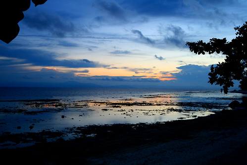 D'Coconut - Pulau Lang Tengah