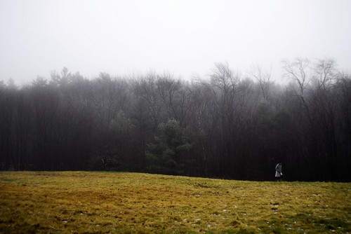 Photograph of woman alone in field flanked by forest