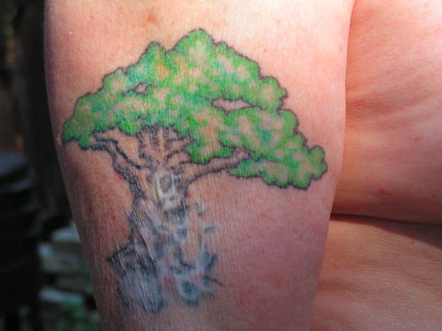 tree tattoo over scar