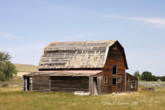 North Dakota Barns