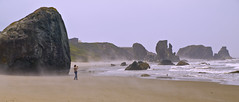Pacific Coast 2008