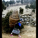 nepali-woman-carrying-basket