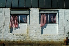 ramen/windows