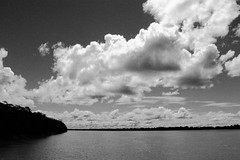 Amazon River (Brazil)