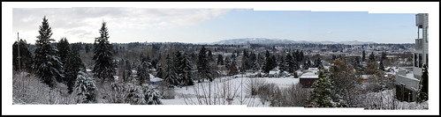 Snowy Oly Madison Scenic Park Panorama