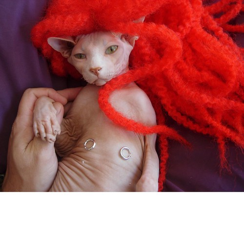 Sphynx Cat as Redhead with Nipple Rings