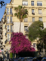 Place Alziary Malaussena in Nice
