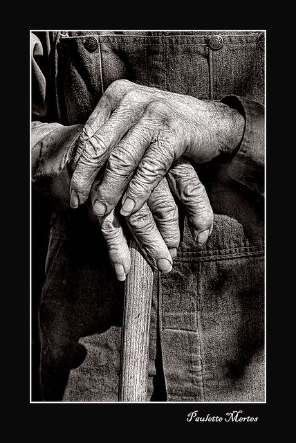 Working Hands - a photo on Flickriver