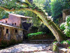 Portugal - Sintra - Convento dos Capuchos 