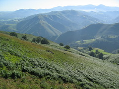 Camino 08 landscape