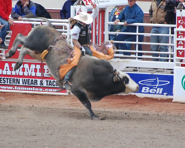 Bull Riding, Calgary Stampede,2008