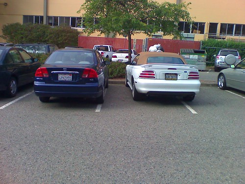 Parking HOG - Fail and Pissed Off Staff