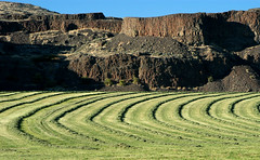 .WA: Dry Coulee