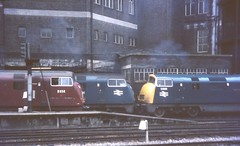 Class 42 & 43