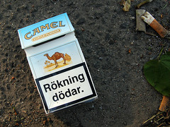Smoking kills internationally