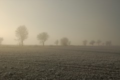 Dezember-Frost