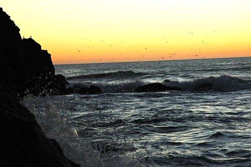 Splash of sea water flys at the edge of the world, gray whale beach, near san francisco, california, usa by Wonderlane