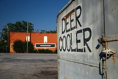 Deer Coolers & Taxidermy