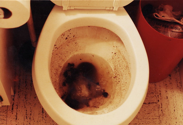 poopy-toilet-flickr-photo-sharing