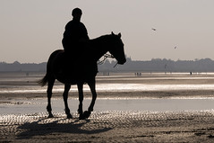 A cheval sur la plage
