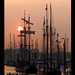 sail-amsterdam-2005
