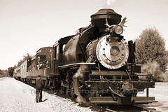 Niles Canyon Steam Train Ride