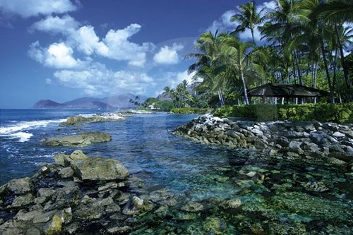 paradise cove hawaii