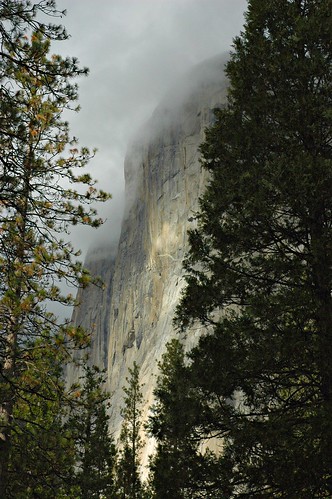 Clouds on the rock faces of Half Dome, between the stunning trees, Yosemite national park by Wonderlane