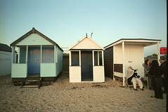 the Beach Hut