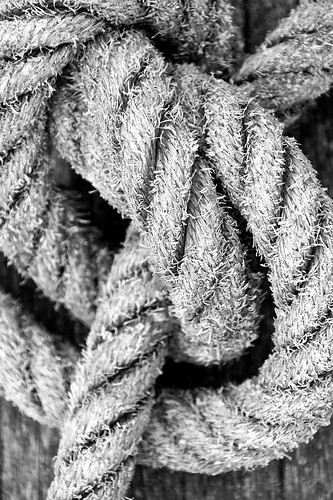 Rope Knot (_MG_5339)