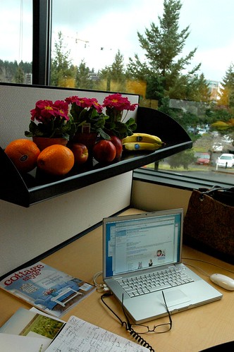 Macintosh laptop, glasses, cottage style magazine, supermouse, notes, flowers, fruit, Bellevue office building, Washington, USA by Wonderlane