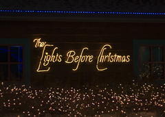 The Lights Before Christmas - Toledo Zoo
