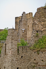 Castles of Rhein