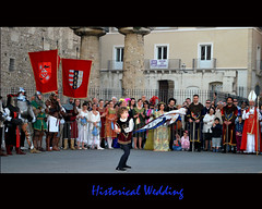 Historical Wedding
