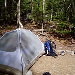 Eliza Brook Campsite Shelter