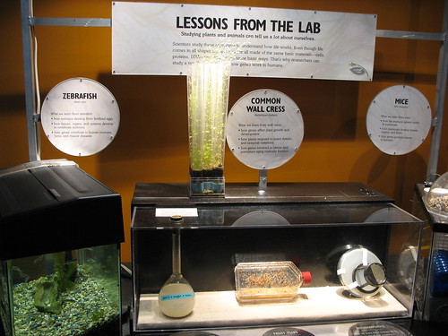 Lessons from the lab