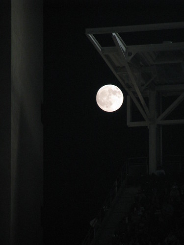 The Moon Wants To Watch The Futlity On The Field