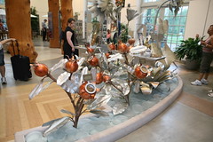 US Botanic Garden - West Gallery