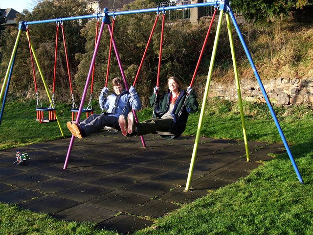 Swings Adults 10