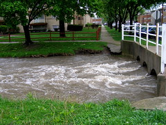 Floods 2008
